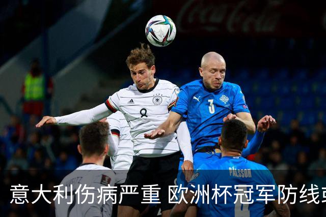 意大利伤病严重 欧洲杯冠军防线或全部无法上场